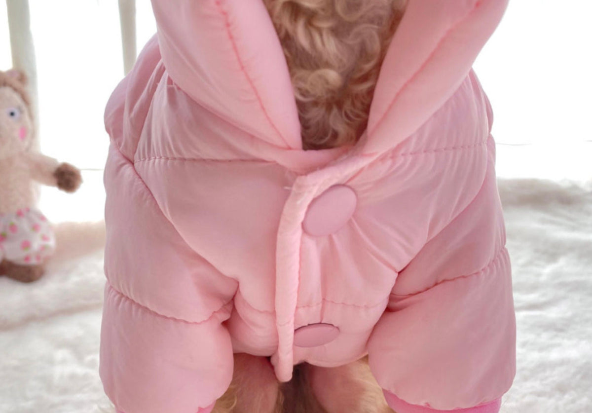 D-Ring Padded Jacket, S-2XL, Winter Jacket, Pet Clothing, Dog Jacket, Dog Fashion, Dog Apparel, Pet Clothing