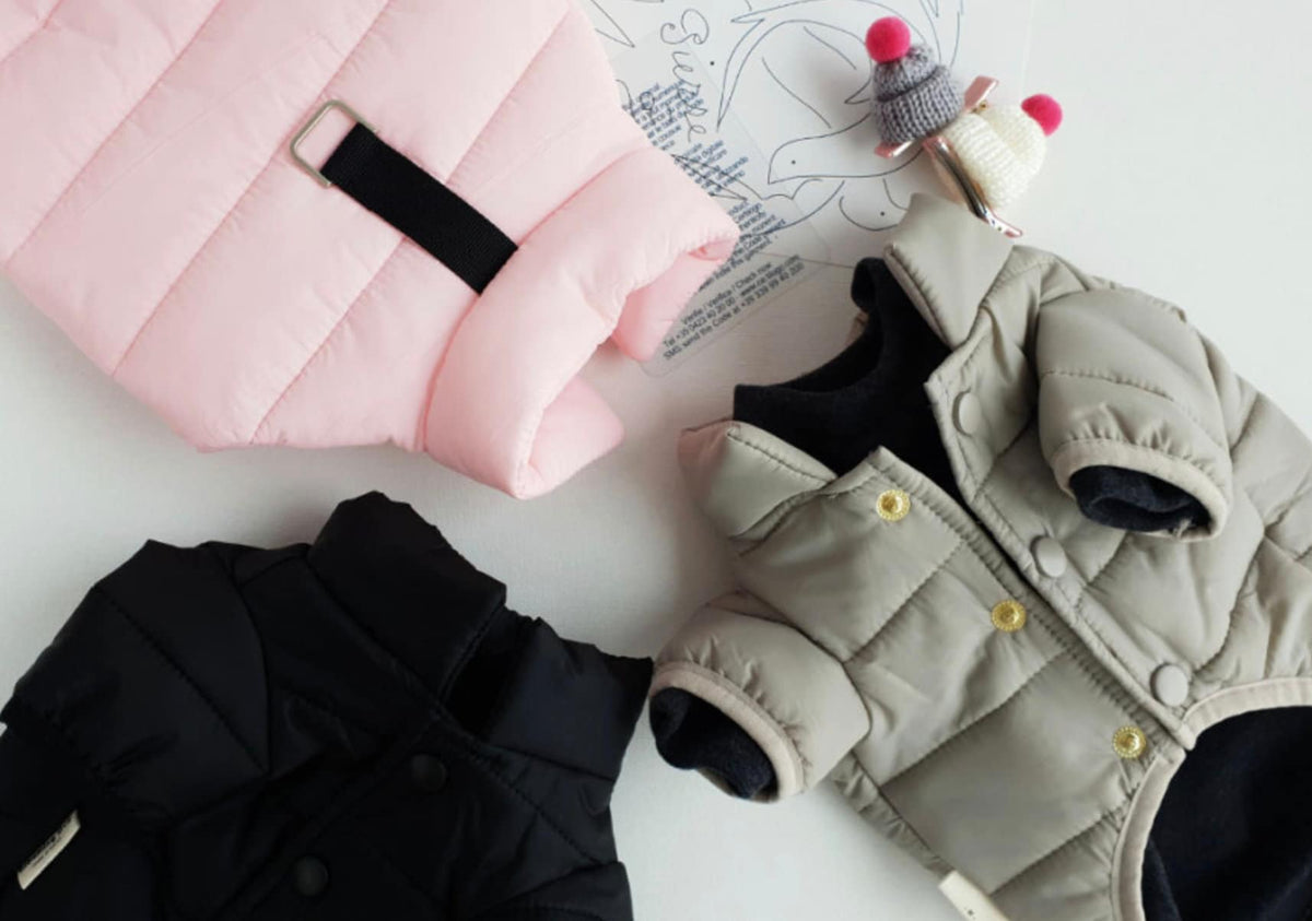 D-Ring Padded Jacket, S-2XL, Winter Jacket, Pet Clothing, Dog Jacket, Dog Fashion, Dog Apparel, Pet Clothing