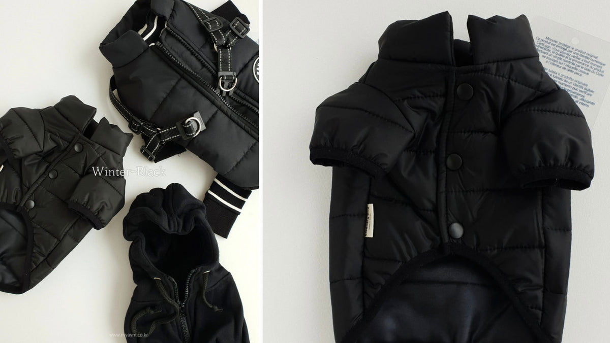 D-Ring Padded Jacket, S-2XL, Winter Jacket, Pet Clothing, Dog Jacket, Dog Fashion, Dog Apparel, Pet Clothing